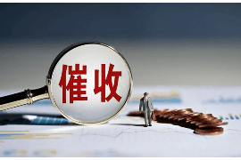 新化新化的要账公司在催收过程中的策略和技巧有哪些？